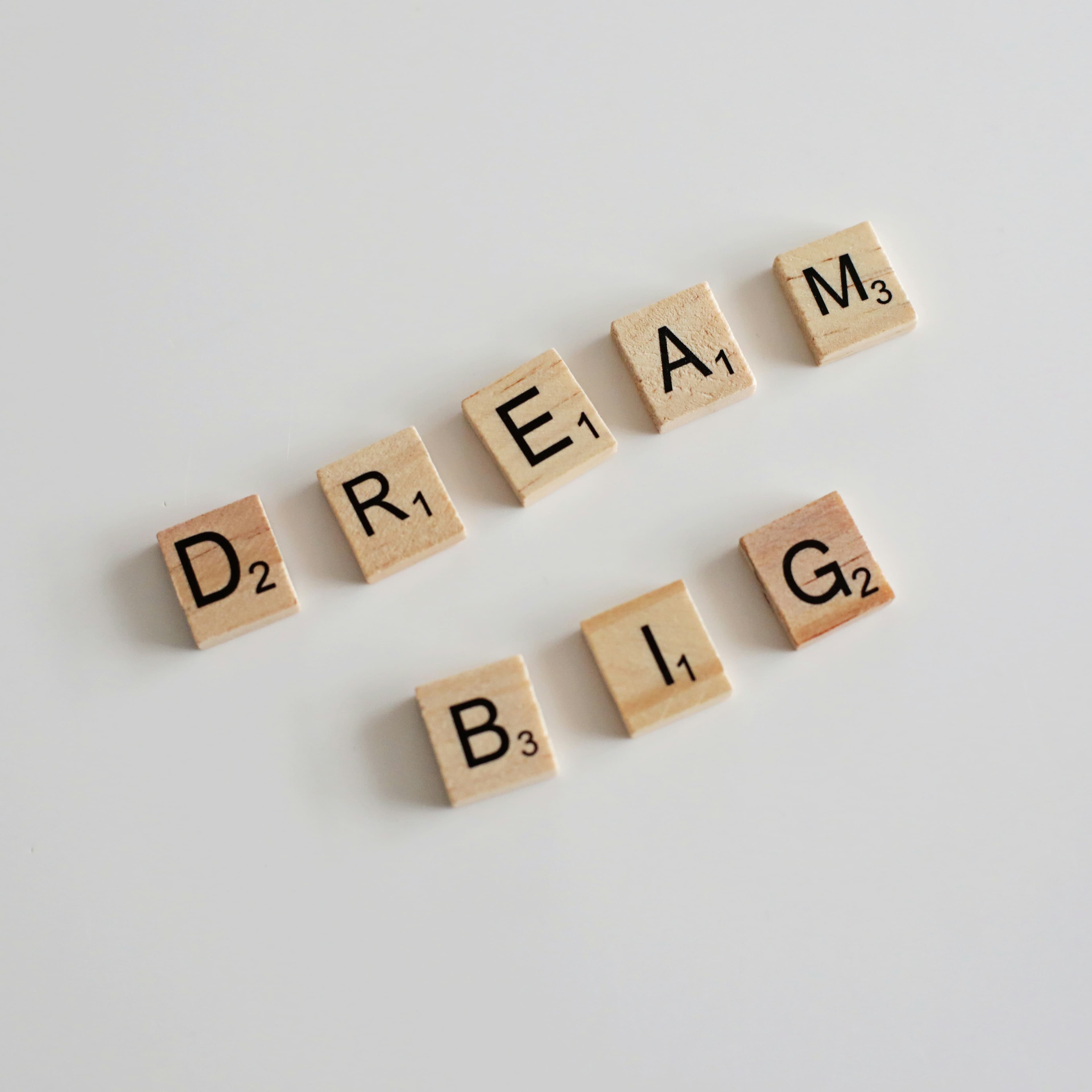 Dream Big — vision Bladidz